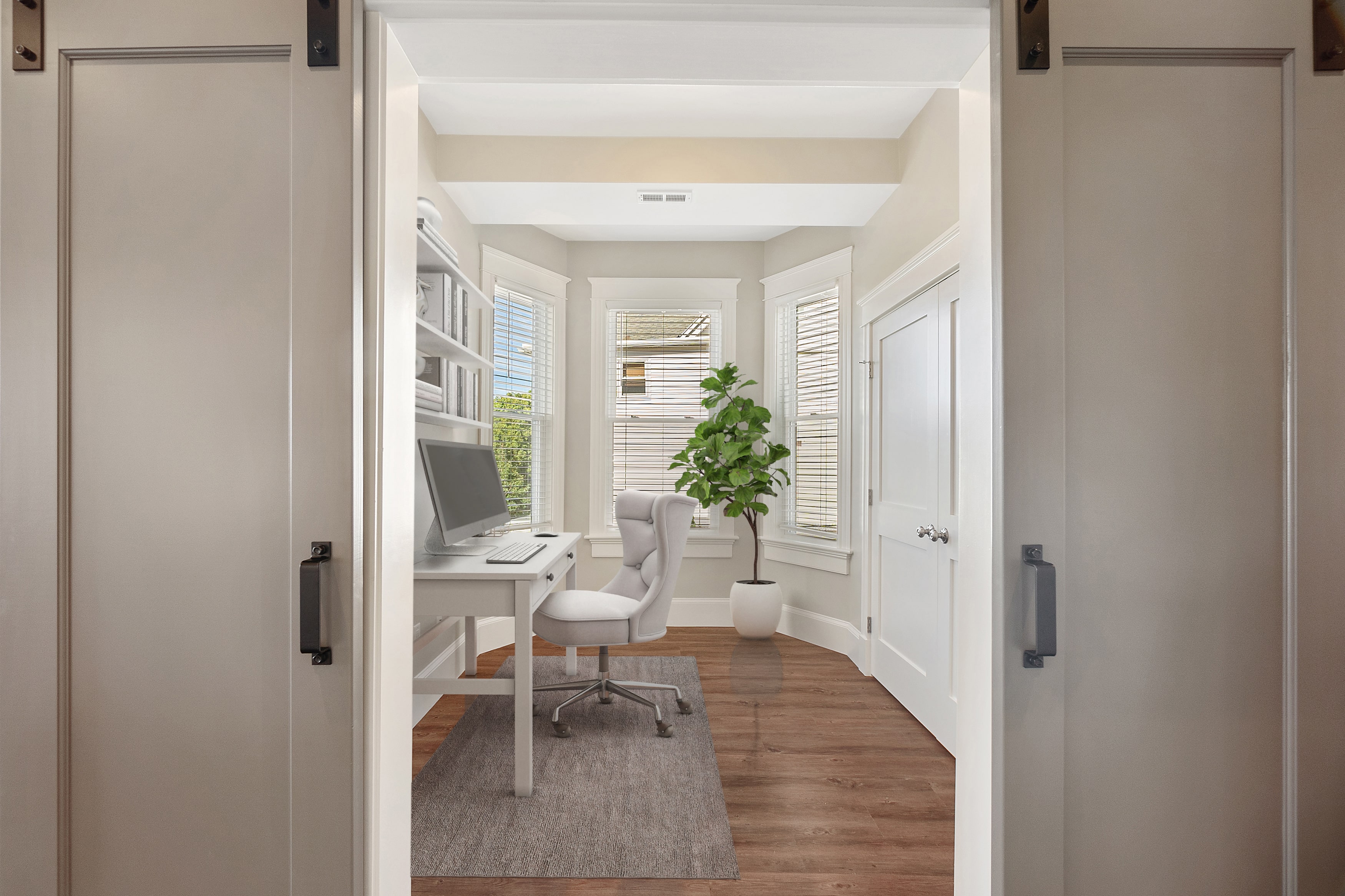 Portfolio Image: Office & Barn Doors with small plant